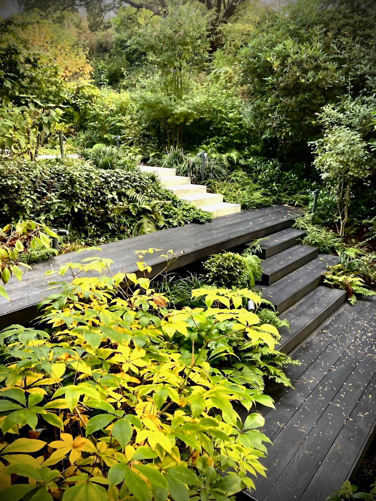 Award-Winning Planting Scheme